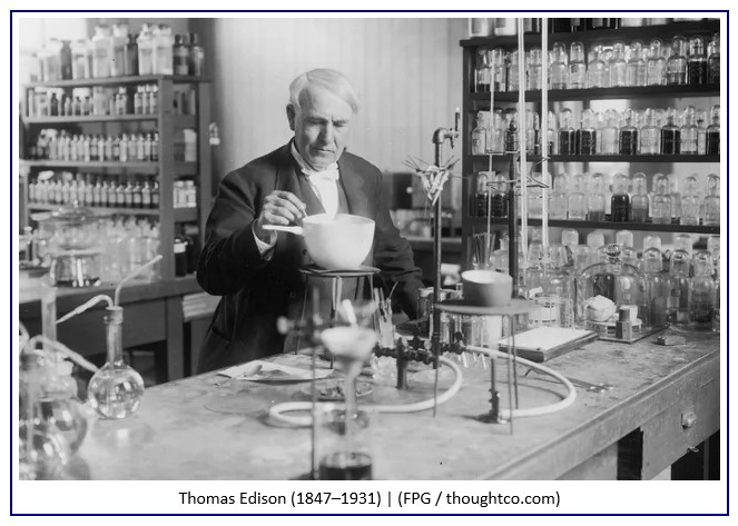 Học Cách Trồng Lan Móng Rùa Toàn Diện Cho Người Mới Bắt Đầu