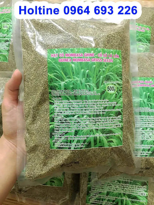 Túi hạt giống cỏ Ghine Mombasa chất lượng cao