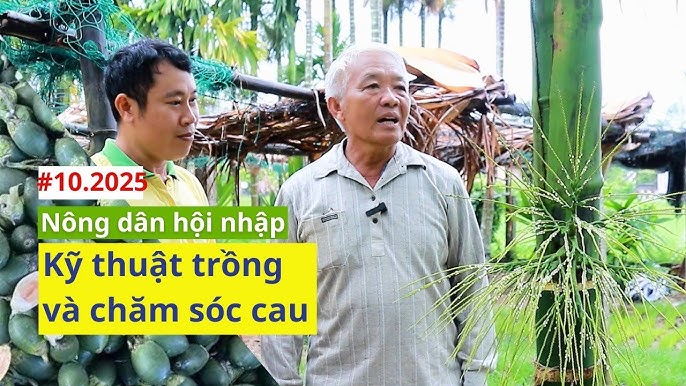 Kỹ Thuật Trồng Dưa Hấu Khổng Lồ Đạt Năng Suất Cao Nhất