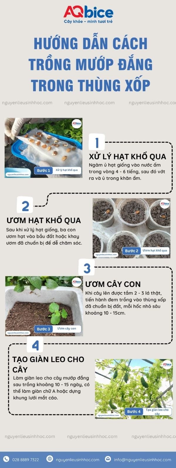 Cách Trồng Khổ Qua Trong Thùng Xốp Đạt Năng Suất Cao Tại Nhà