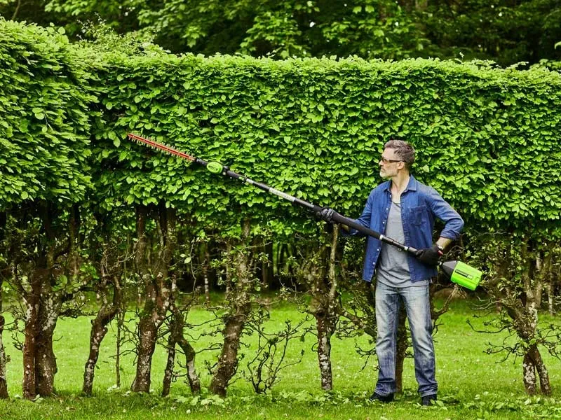 Dụng cụ và cách cắt tỉa hàng rào cây xanh để tạo hình đẹp mắt