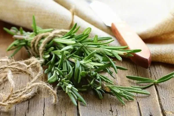 Các loại công dụng tuyệt vời của Hương Thảo trong ẩm thực và y học hiện đại