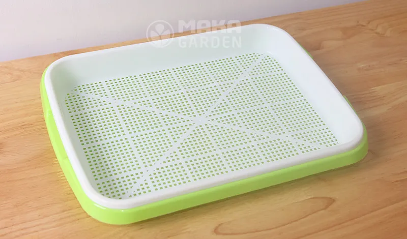 Một chiếc khay trồng rau mầm thủy canh được đặt trên mặt phẳng, sẵn sàng cho việc gieo trồng