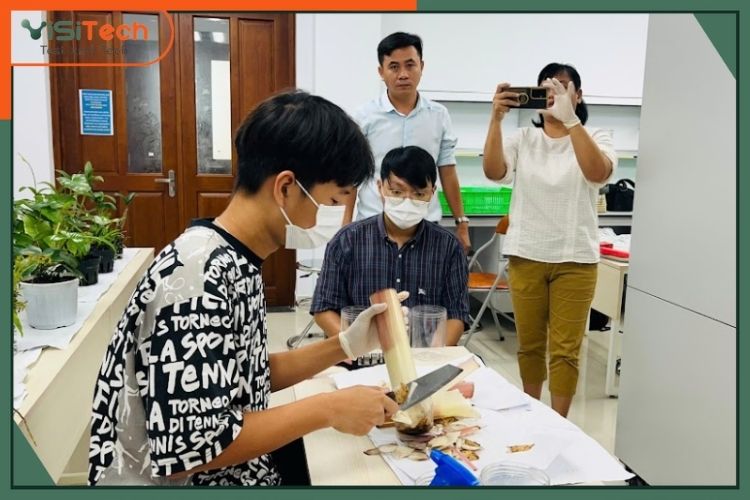 Hướng Dẫn Kỹ Thuật Chi Tiết: Cách Trồng Lan Nuôi Cấy Mô Tại Nhà Cho Người Mới