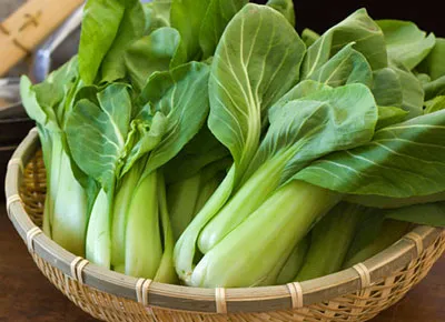 cách trồng cải chíp tại nhà