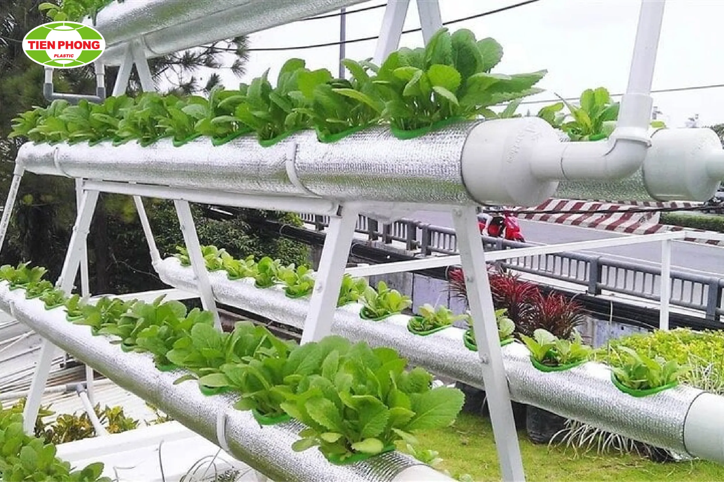 Tháp trồng cây bằng ống nước PVC tiết kiệm không gian