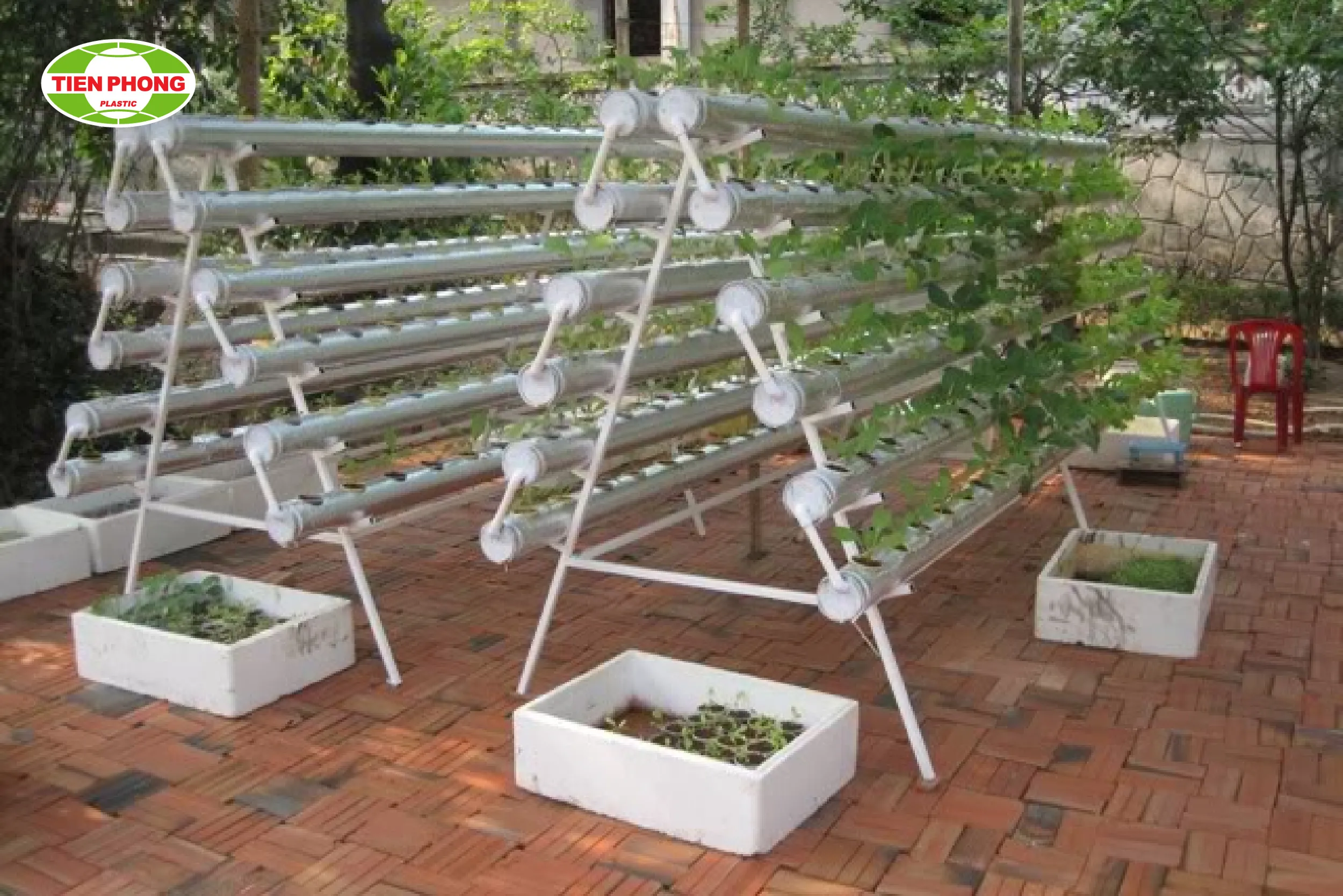 Giàn trồng cây chữ A từ ống nước nhựa PVC