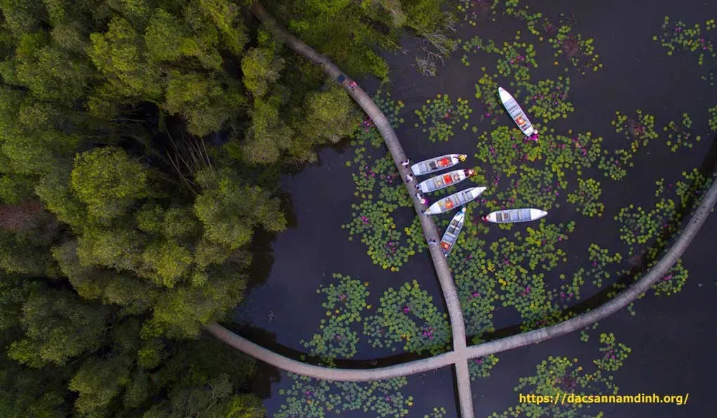 Làng nổi Tân Lập Long An với cầu xuyên rừng, điểm đến du lịch cuối năm nên ghé