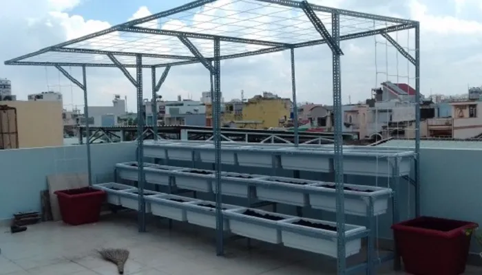 Cách Trồng Rau Trên Sân Thượng Có Mái Che: Hướng Dẫn Kỹ Thuật Toàn Diện