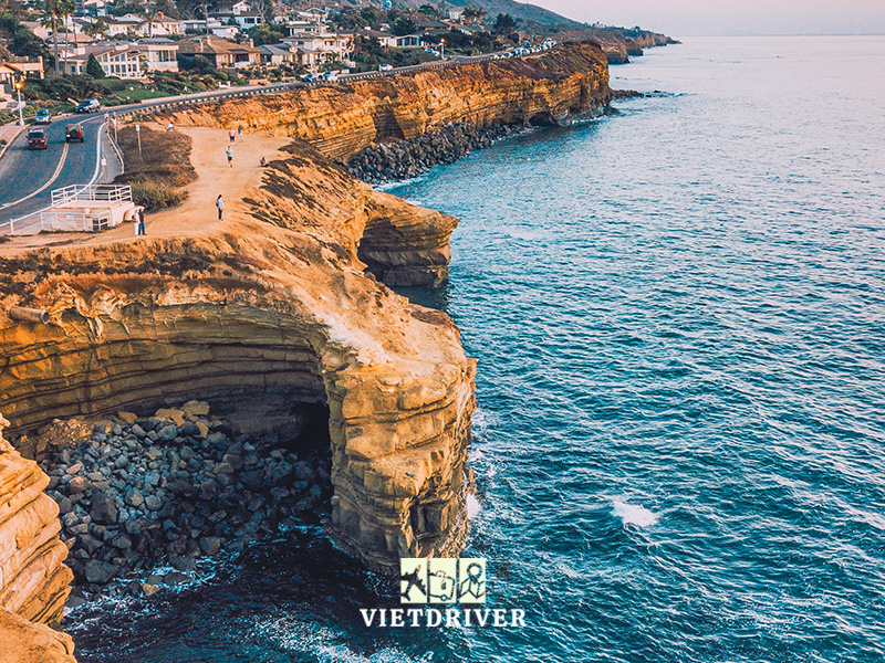 Không Gian Xanh Vũ Garden: Điểm Đến Lý Tưởng Cho Người Yêu Hoa Hồng, Cà Phê Và Quay Chụp