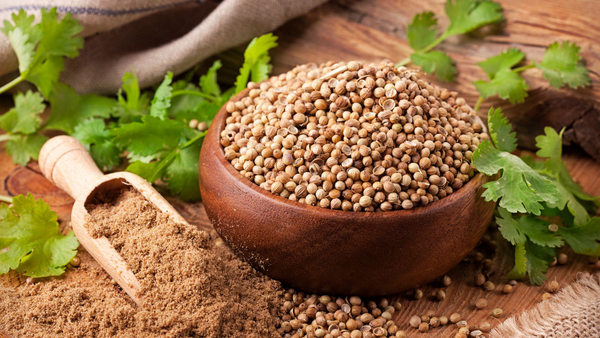 Hướng Dẫn Chi Tiết Cách Trồng Rau Đay Trong Thùng Xốp Đơn Giản, Hiệu Quả