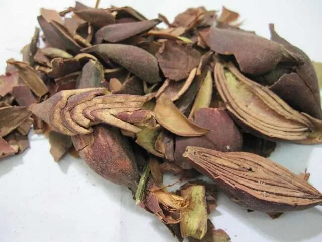 Củ sâm đại hành tươi và khô