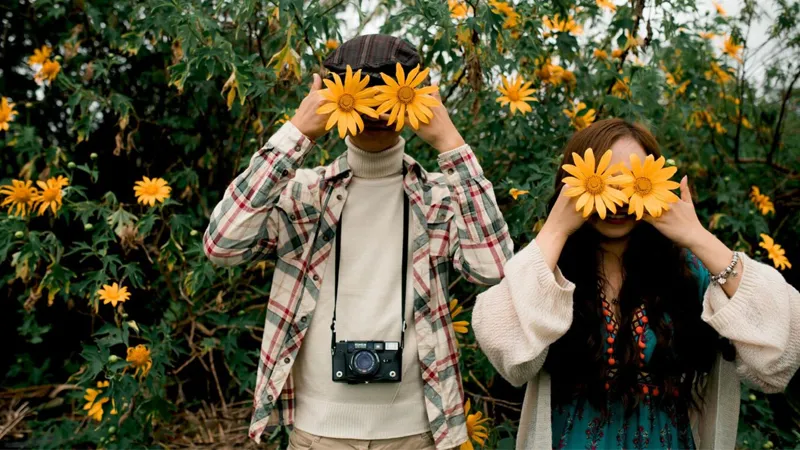 Những cặp đôi cũng rất thích hoa dã quỳ