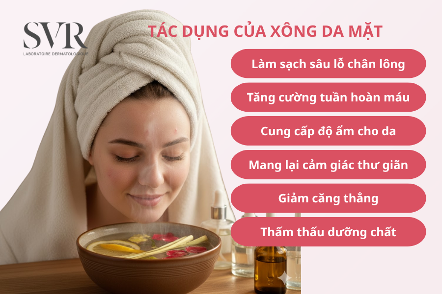 Cách Làm Đất Trồng Rau Tại Nhà: Công Thức Chuyên Sâu Tối Ưu Cho Chậu Tái Chế