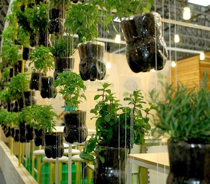 Cách Làm Đất Trồng Rau Tại Nhà: Hướng Dẫn Tái Chế Chai Nhựa