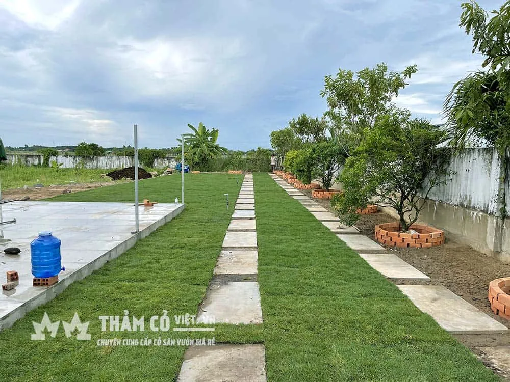 Mặt bằng bằng cát tăng độ mịn khi bạn hoặc con bạn chạy nhảy vui chơi trên cỏ rất thoải mái