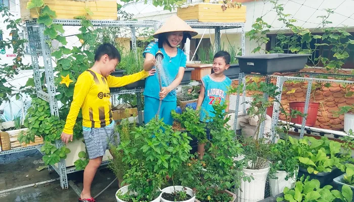 Cách Trồng Rau Trên Sân Thượng Có Mái Che: Hướng Dẫn Kỹ Thuật Toàn Diện