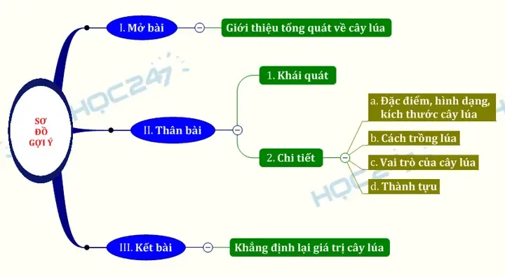 Ruộng lúa nước đang trong giai đoạn chuẩn bị đất, có máy móc phục vụ việc san phẳng