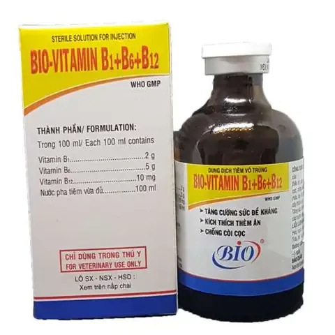 Kỹ thuật và quy trình tiêm thuốc bổ cho chó an toàn, hiệu quả