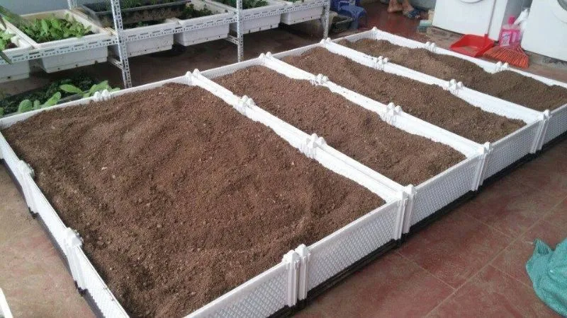 các loại giá thể và đất nền cần thiết trồng rau