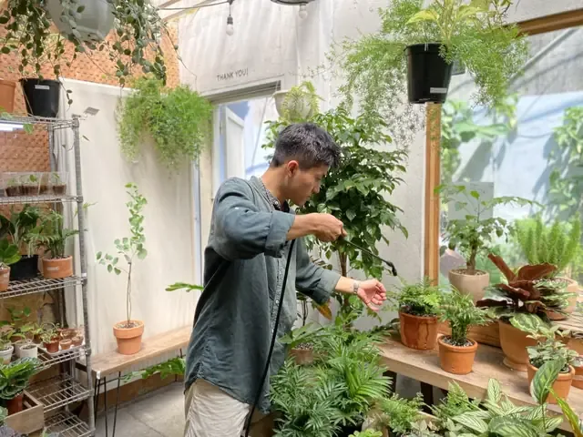 Hình ảnh một người phụ nữ đang ngắm nhìn những bông hoa hồng rực rỡ trong vườn, minh họa cho sự chữa lành tâm hồn