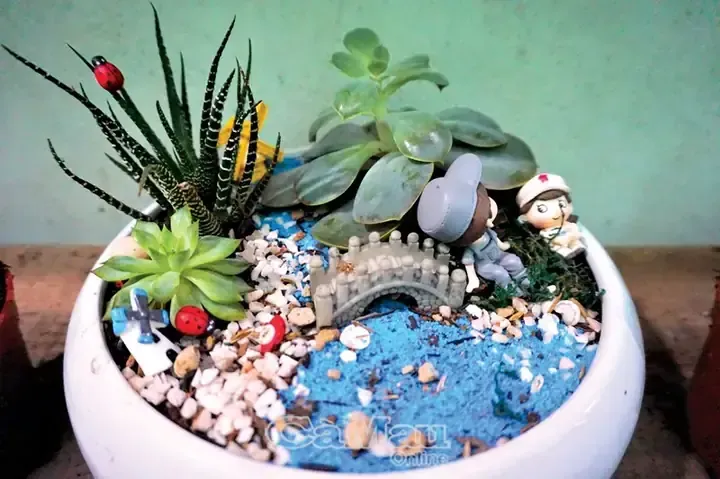 Hình ảnh một người đang tưới nước cho cây trong khu vườn yên bình, thể hiện sự kiên nhẫn của người trồng cây