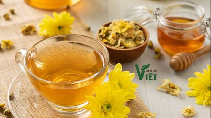 Cách Trồng Hoa Mộc Lan Nở Rộ Và Kỹ Thuật Chăm Sóc Đầy Đủ Nhất Cách Trồng Hoa Mộc Lan Nở Rộ Và Kỹ Thuật Chăm Sóc Đầy Đủ Nhất