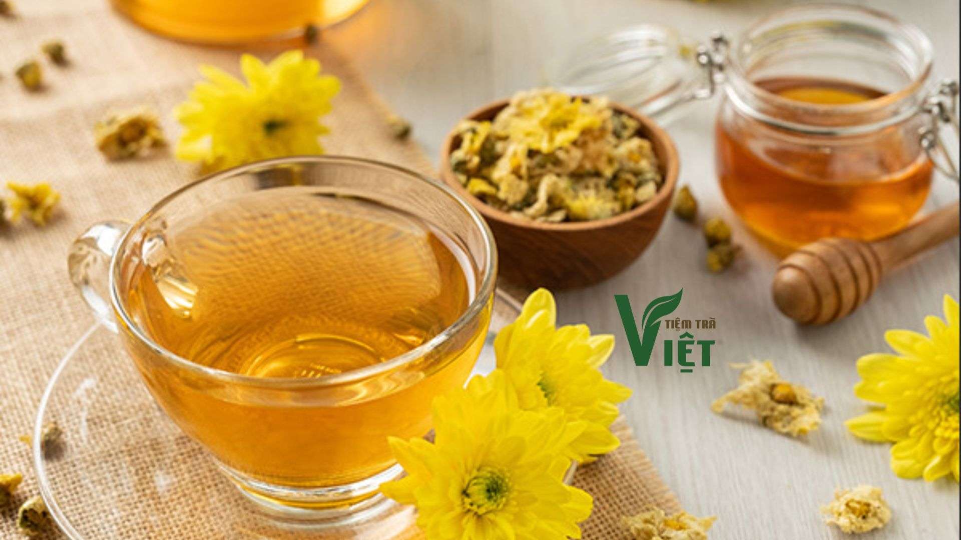 Cách Trồng Hoa Mộc Lan Nở Rộ Và Kỹ Thuật Chăm Sóc Đầy Đủ Nhất Cách Trồng Hoa Mộc Lan Nở Rộ Và Kỹ Thuật Chăm Sóc Đầy Đủ Nhất