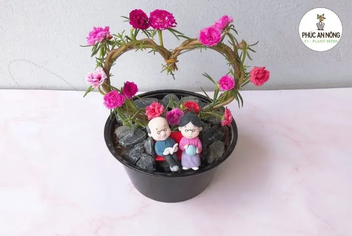 Hướng dẫn cách trồng bông mười giờ sáng tạo thành hình trái tim