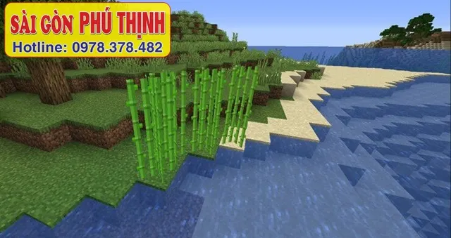 Phương pháp trồng mía trong Minecraft gần nguồn nước để tối ưu năng suất