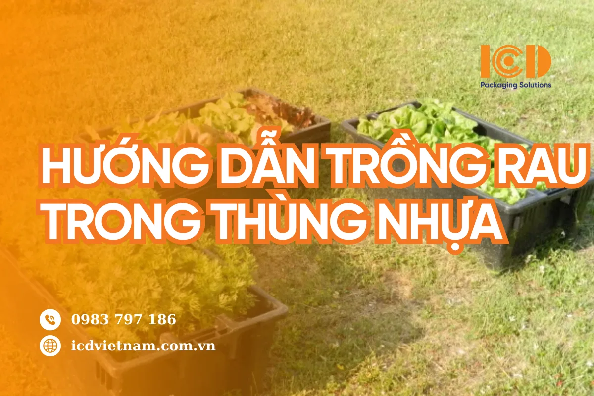 Cách Trồng Rau Từ Hạt Giống: Hướng Dẫn Chi Tiết A-Z Trồng Húng Quế Tại Nhà