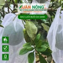 Túi bao trái bưởi da xanh, dưa lê ...