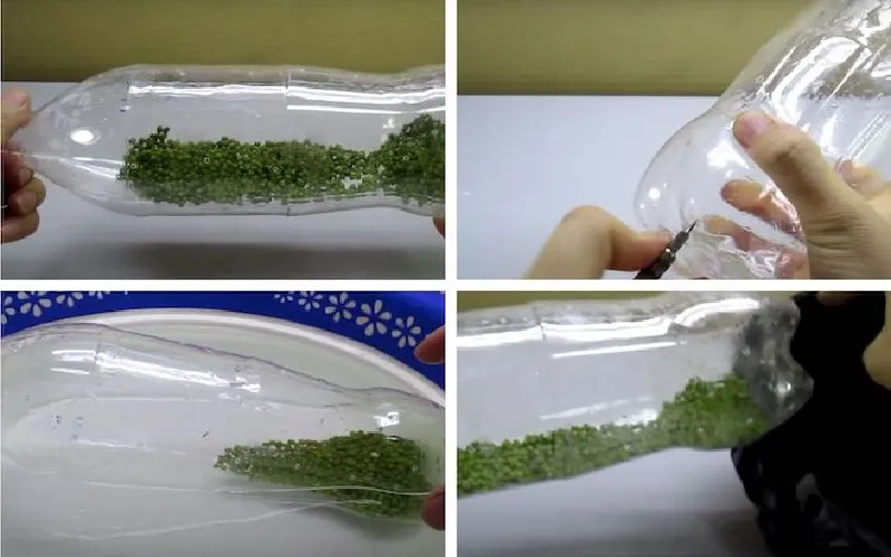 Hình ảnh minh họa quá trình ủ giá đỗ bên trong chai nhựa với khăn che