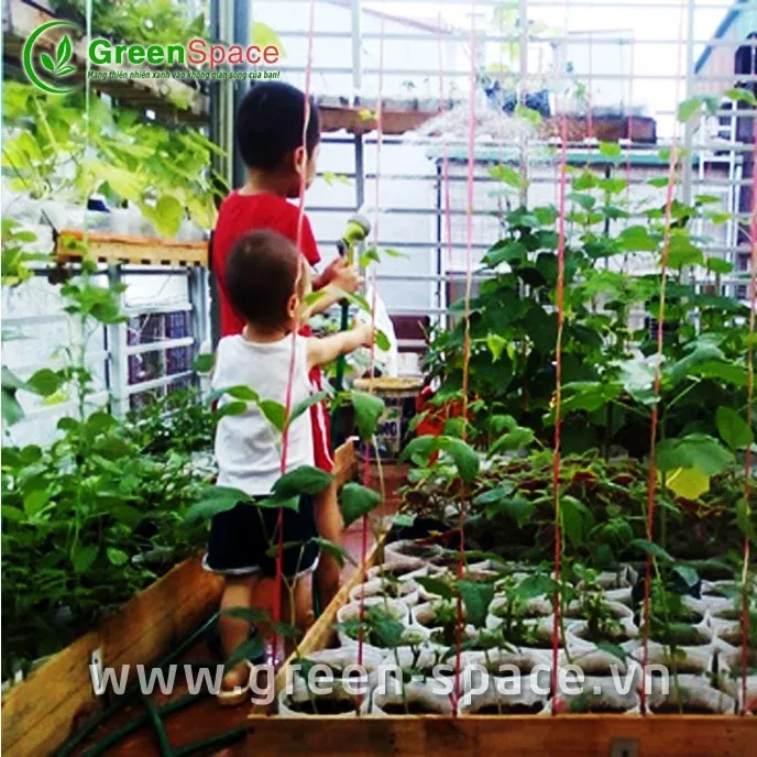 Người nông dân đang chuẩn bị đất tơi xốp và giàu dinh dưỡng để gieo hạt