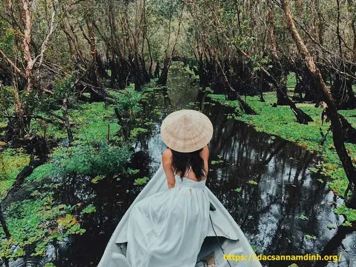 Xuồng đi xuyên rừng tràm Trà Sư An Giang, khám phá hệ sinh thái đặc trưng miền Tây