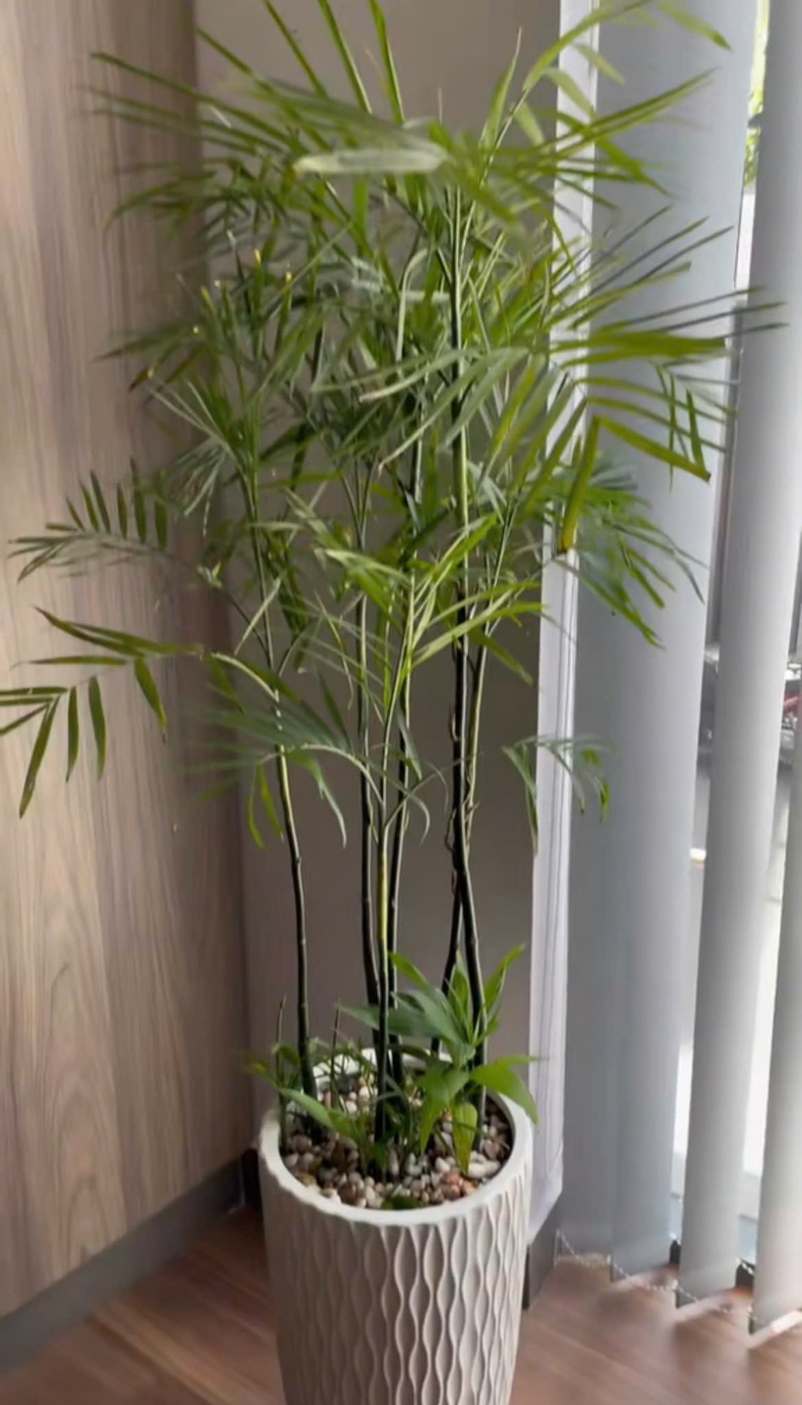 Cách Làm Đất Trồng Rau Trên Sân Thượng Chuẩn Nhất Đảm Bảo Năng Suất Cao