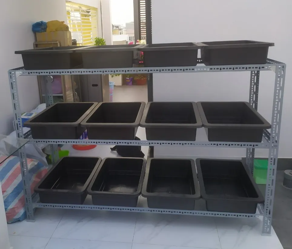 Lựa chọn kích thước kệ trồng rau tại nhà phù hợp với không gian