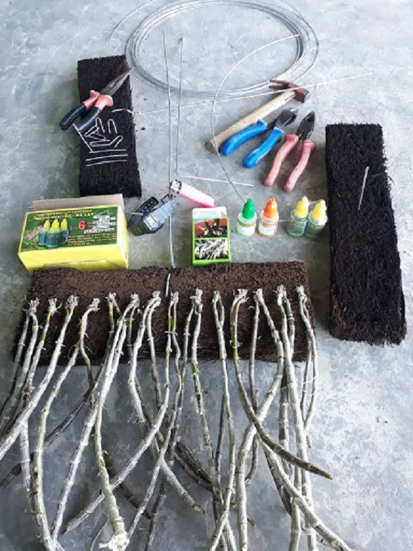 Dụng cụ trồng lan long tu