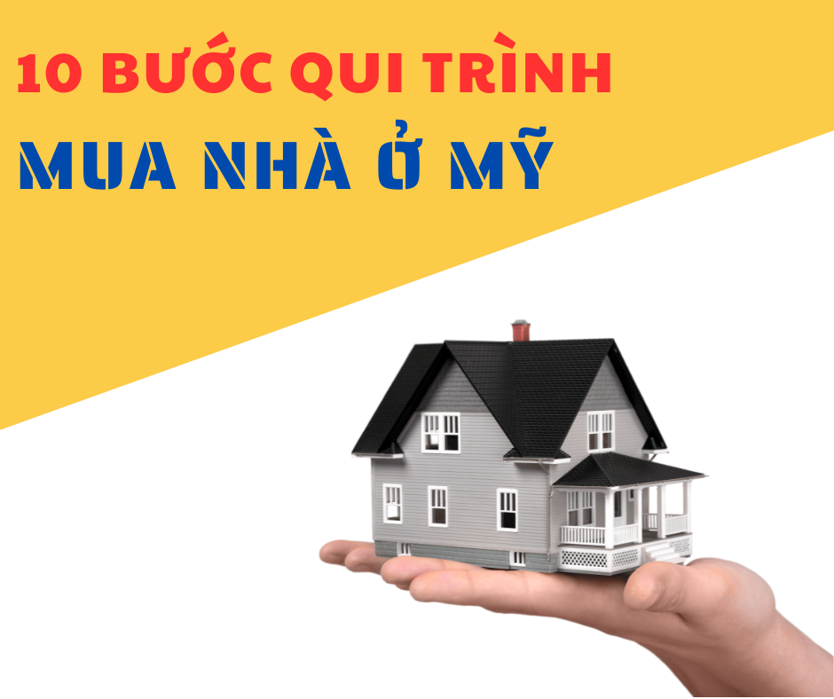 HƯỚNG DẪN CÁCH TRỒNG HOA LAN: HỒ ĐIỆP CHUYÊN SÂU TỪ A ĐẾN Z