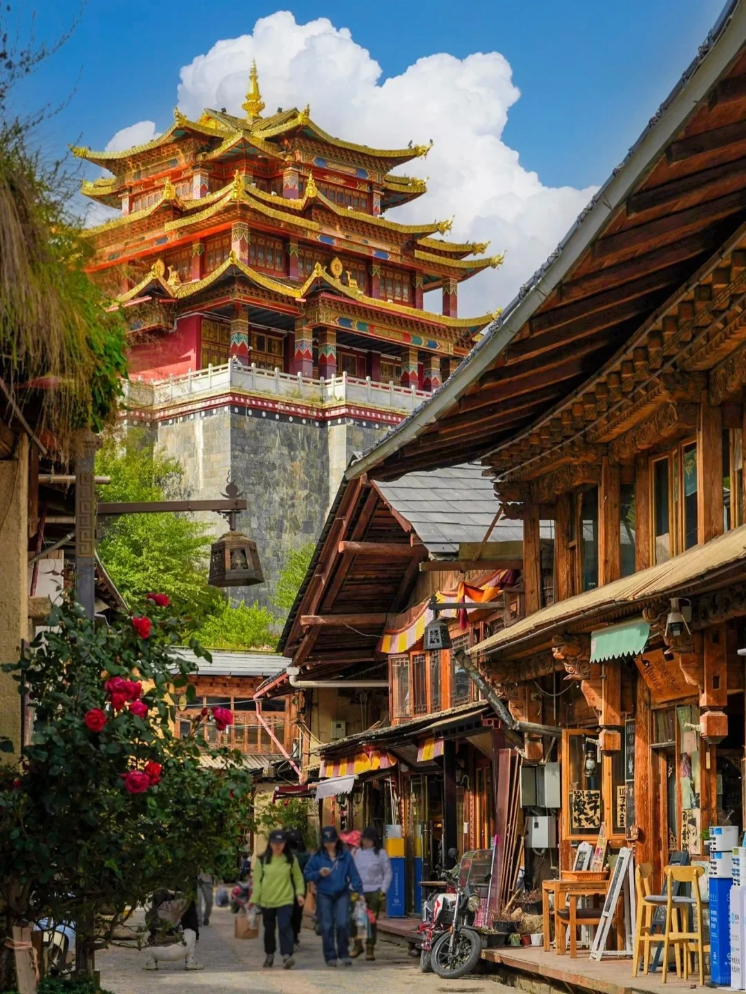 Cẩm Nang Chi Tiết Về Cách Trồng Củ Tam Thất Bắc Đạt Hiệu Quả Kinh Tế Cao Cẩm Nang Chi Tiết Về Cách Trồng Củ Tam Thất Bắc Đạt Hiệu Quả Kinh Tế Cao