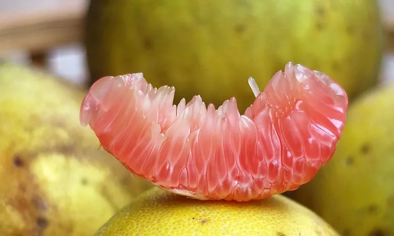 Nửa quả bưởi mỗi ngày giúp tăng độ nhạy insulin và kiểm soát đường huyết