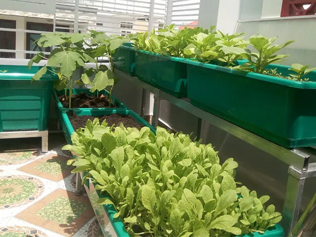 Các bước lắp ráp kệ sắt V lỗ trồng rau đơn giản tại nhà