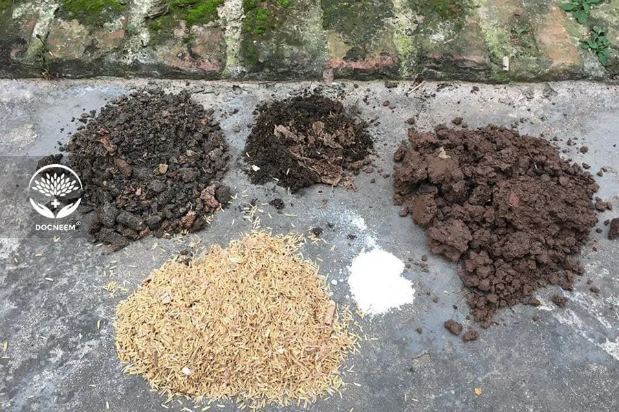 Giá Thể Tơi Xốp Dùng Để Trồng Hoa Hồng Mới