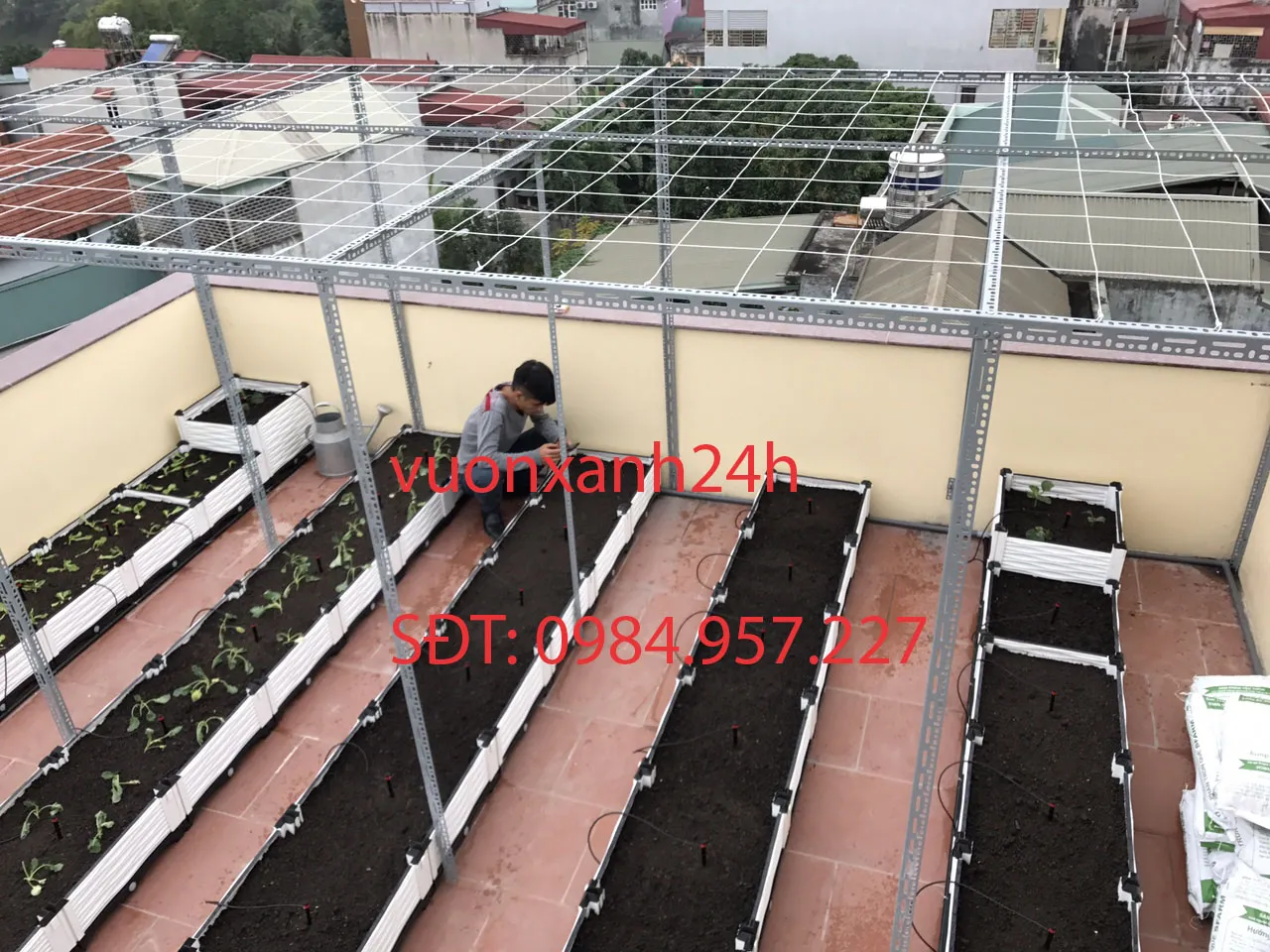 Giàn cây leo khung sắt hộp kiên cố trên sân thượng