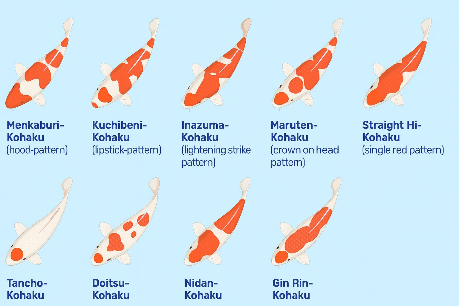 Cách Trồng Ráy Nana White Đạt Chuẩn Chuyên Gia: Kỹ Thuật Và Điều Kiện Tối Ưu