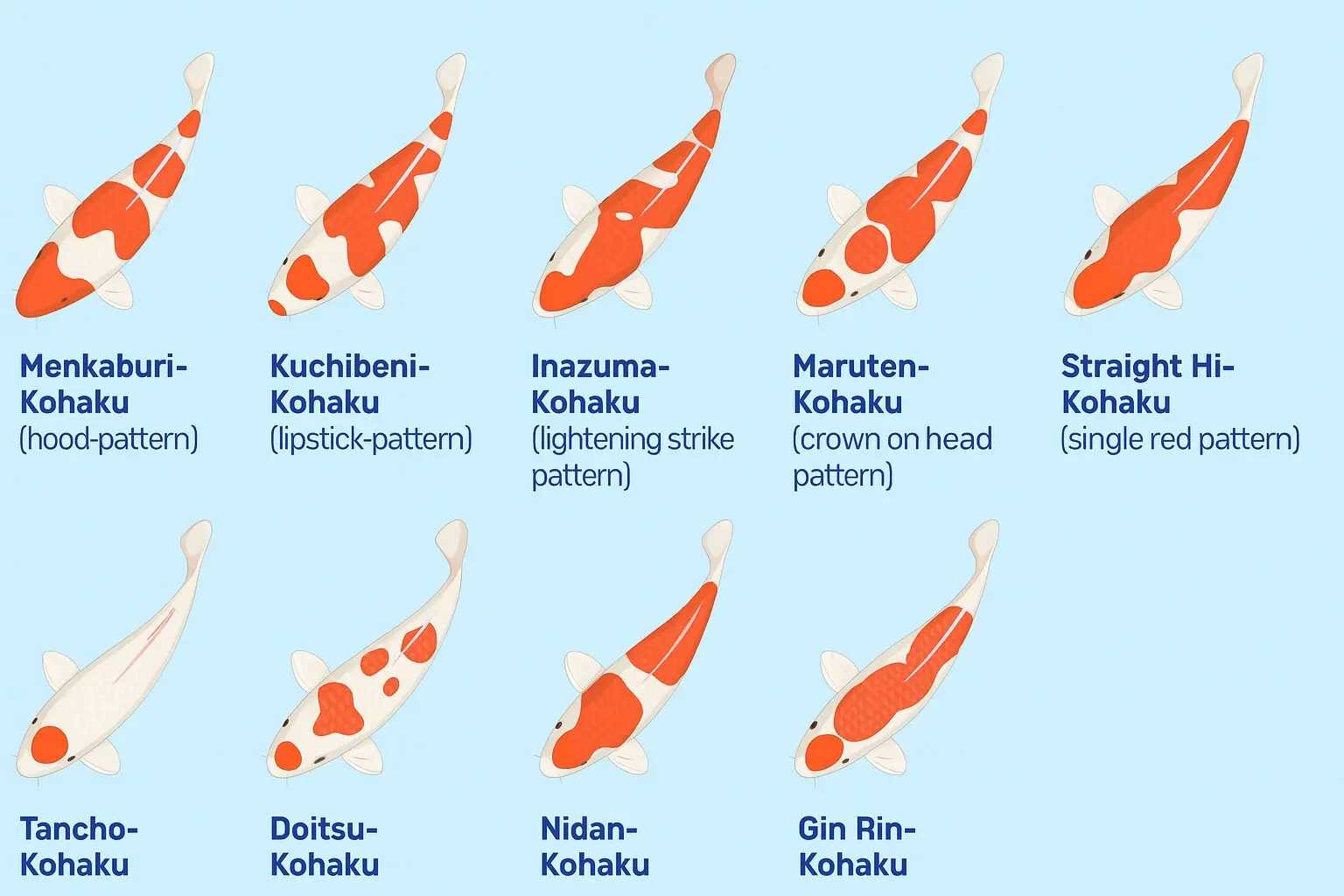 Cách Trồng Ráy Nana White Đạt Chuẩn Chuyên Gia: Kỹ Thuật Và Điều Kiện Tối Ưu