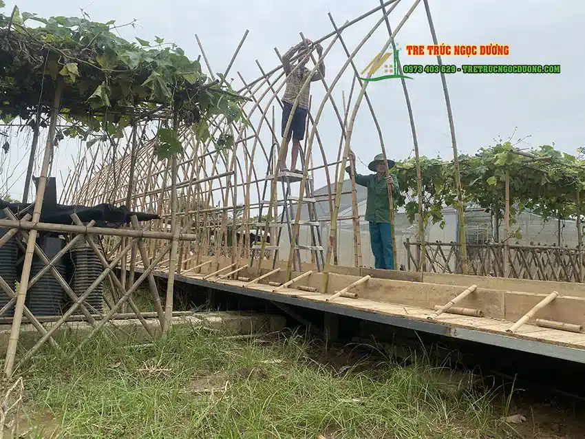 Hướng Dẫn Chi Tiết Cách Làm Giàn Trồng Rau Đơn Giản Hiệu Quả Tại Nhà