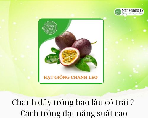 Cách Trồng Cây Chanh Leo Vàng Ngọt Đạt Năng Suất Cao Nhất