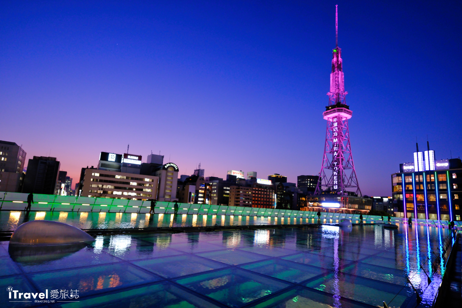 Cách Trồng Gốc Hoa Hồng Rừng: Hướng Dẫn Chi Tiết Từ Chuyên Gia Tại Vũ Garden