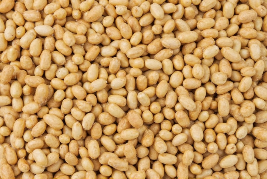 Cách Trồng Cải Thìa Tại Nhà Từ A Đến Z, Thu Hoạch Giòn Ngọt